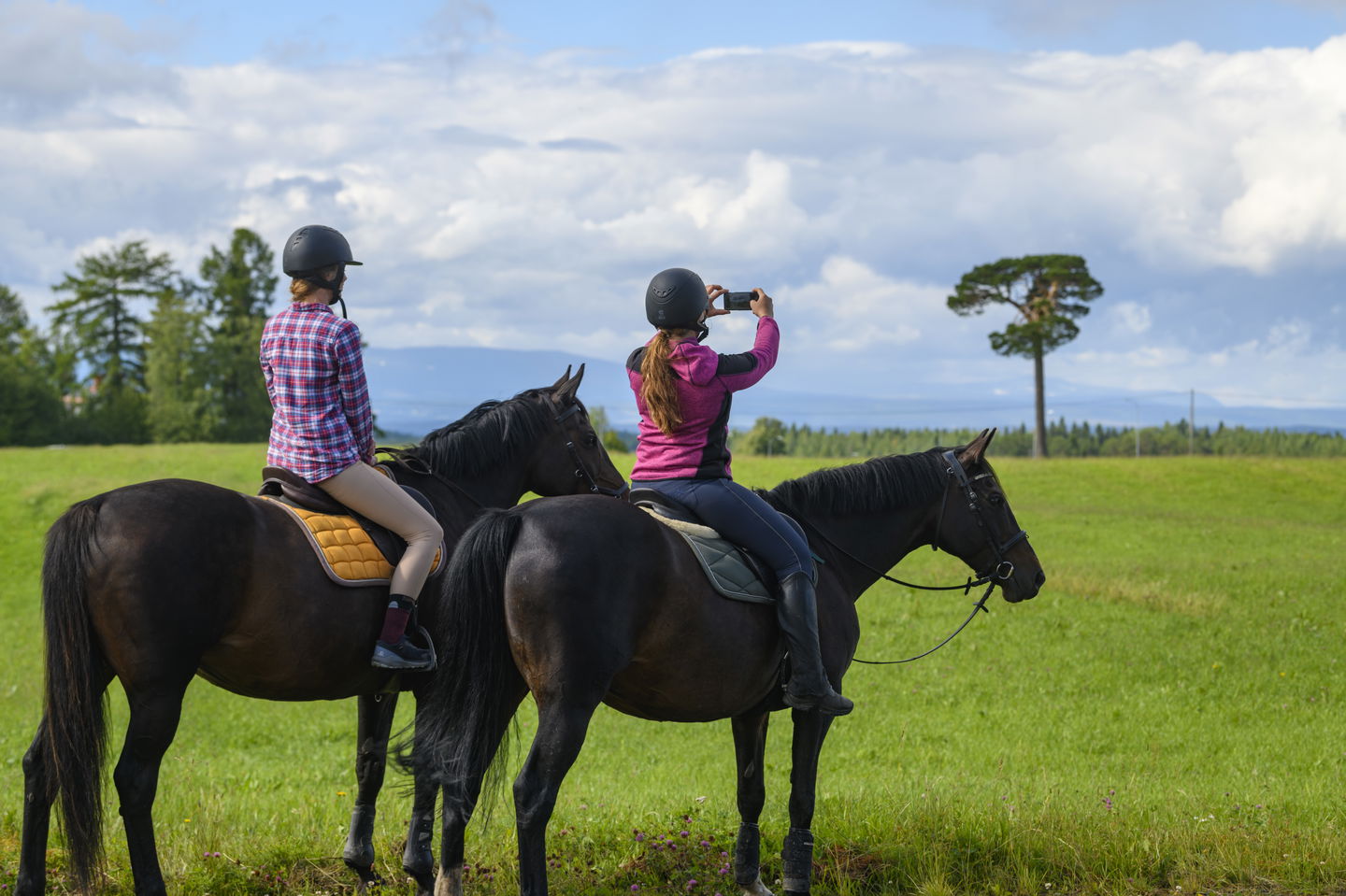 Ridning längs S:t Olavsleden