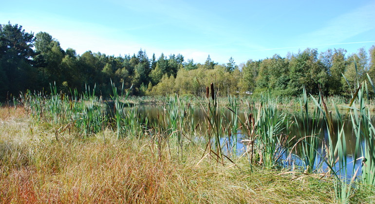 Lösjö.