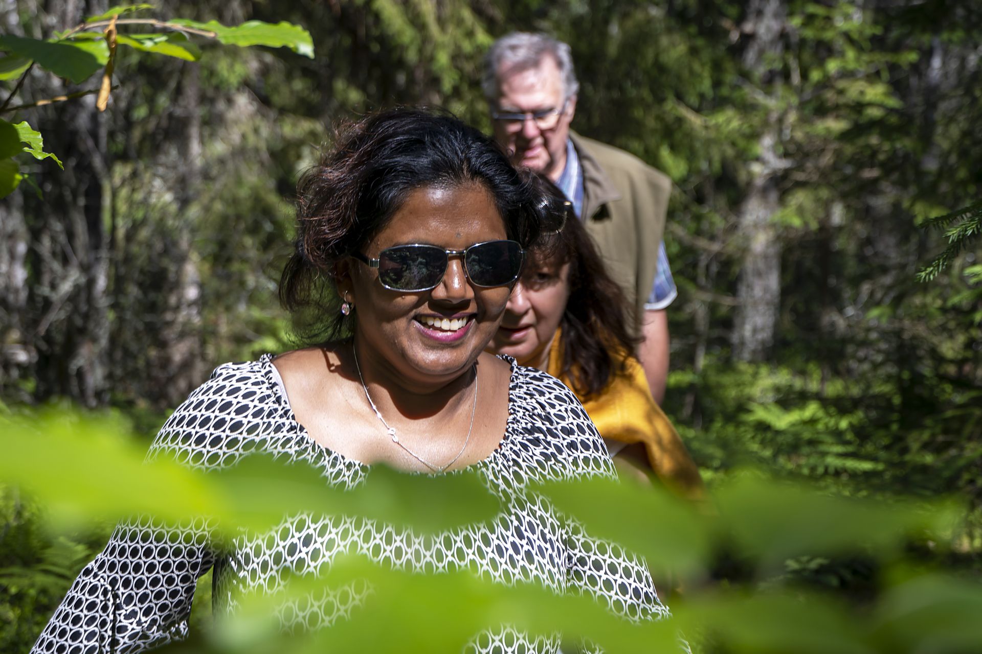 Bokskogsslingan och Lövåsslingan i Borgvik