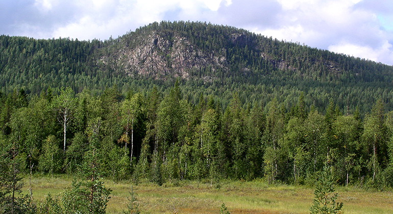 Hänghuvudet.