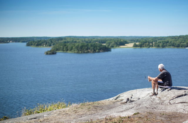 Gåseborg