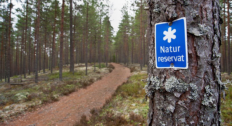 Vandringsled på Brattforsheden.