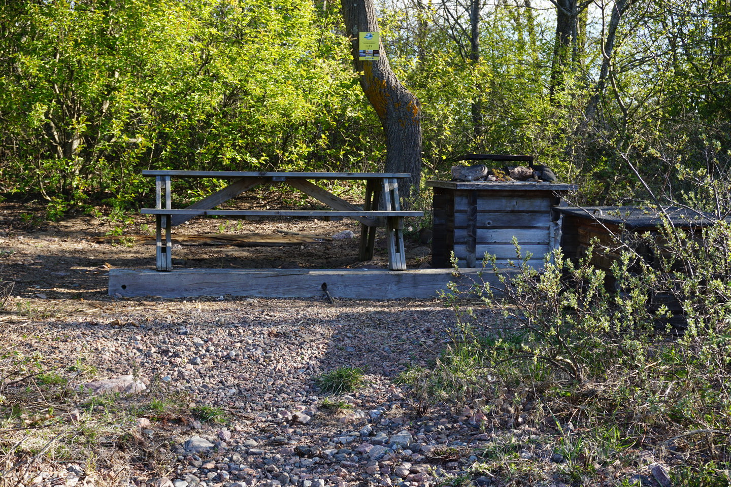 Bänkbord, grillplats och vedlår i grönskande miljö på ön Sillrabben