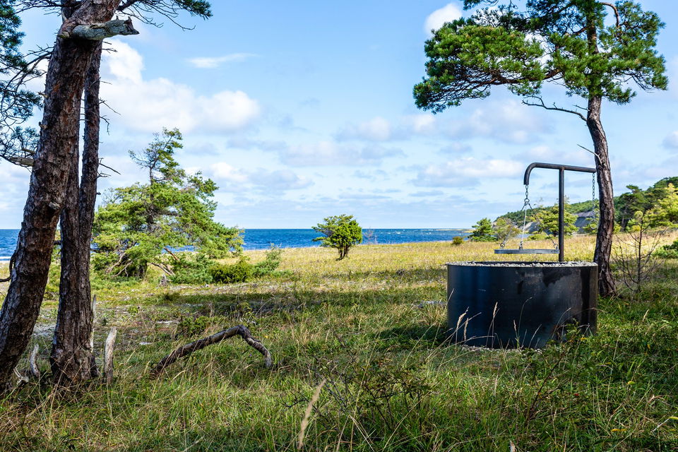 Grillplats i kustnära skogsmiljö