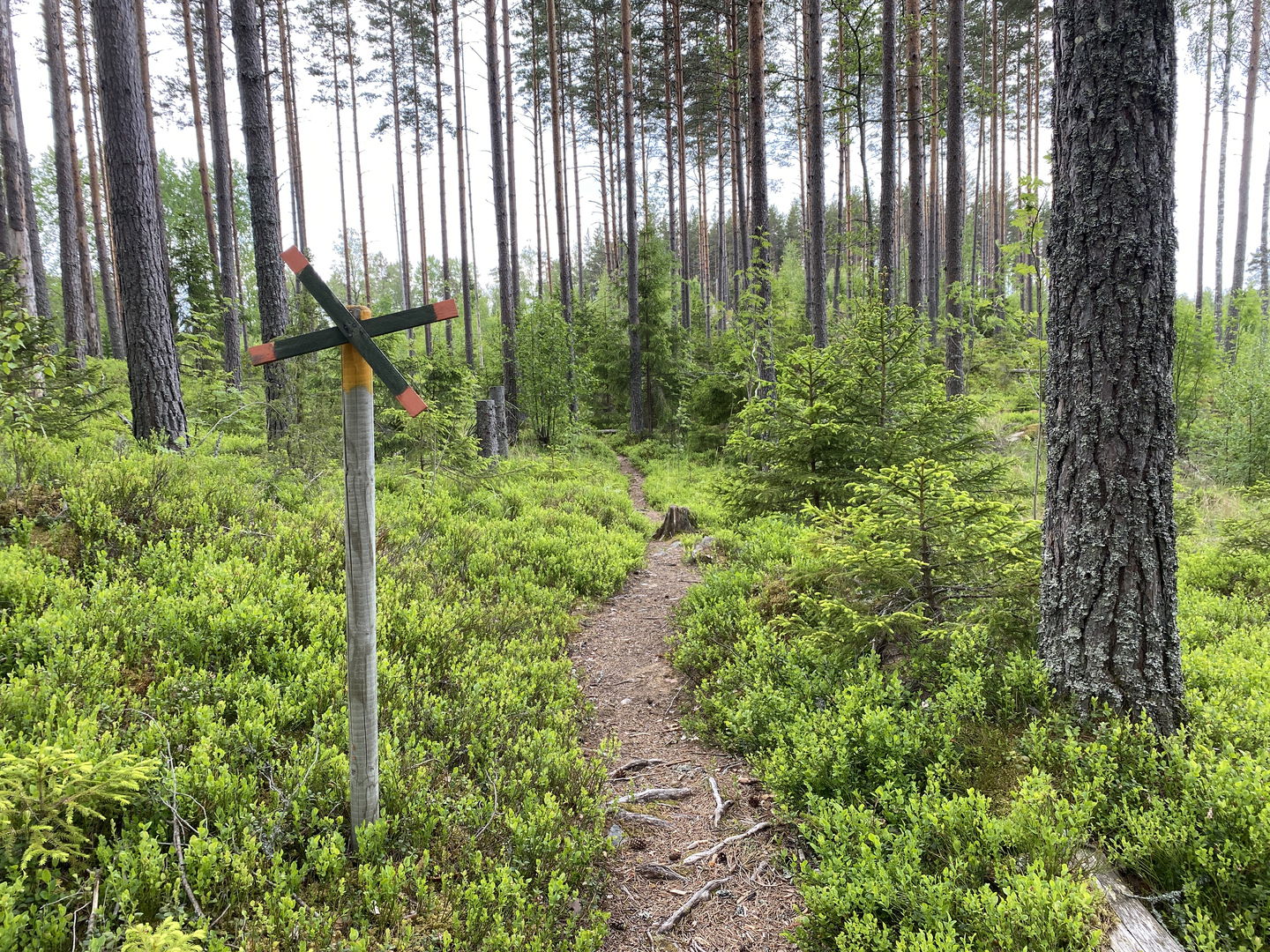 Kyrkstigen