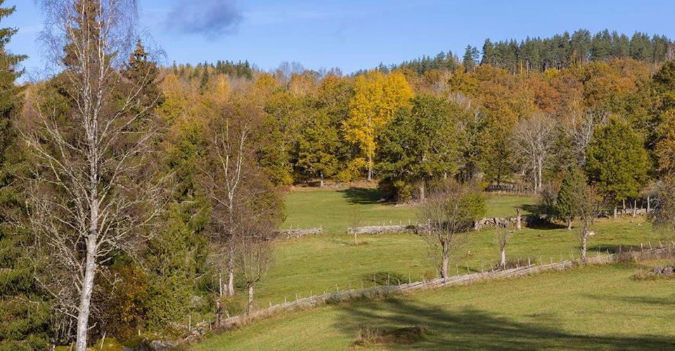 Vackert odlingslandskap vid Smedstorp dubbelgård.
Etapper: Smedstorp - Norra Vi, Smedstorp - Pinnarp och Malexander - Smedstorp.
Ydre.