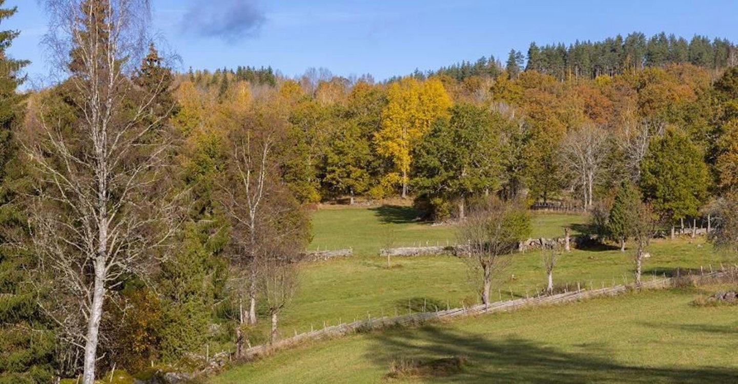 Vackert odlingslandskap vid Smedstorp dubbelgård.
Etapper: Smedstorp - Norra Vi, Smedstorp - Pinnarp och Malexander - Smedstorp.
Ydre.