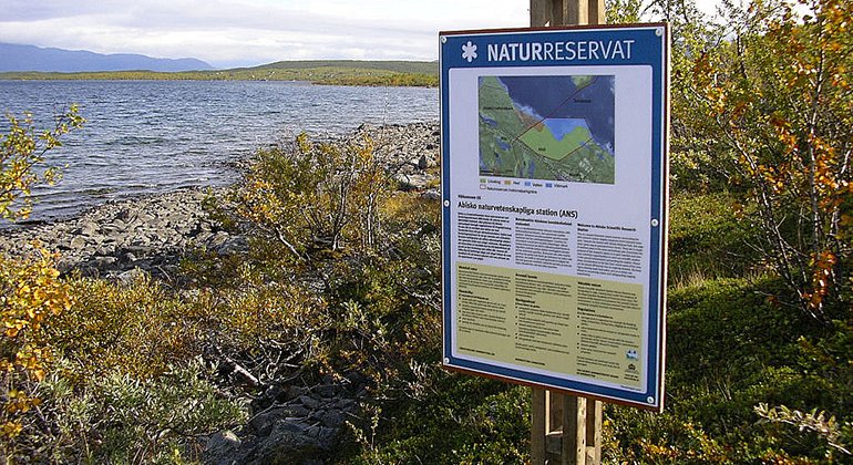 Naturreservatet Abisko naturvetenskapliga station ligger vid Torneträsk, öster om Abisko  nationalpark.