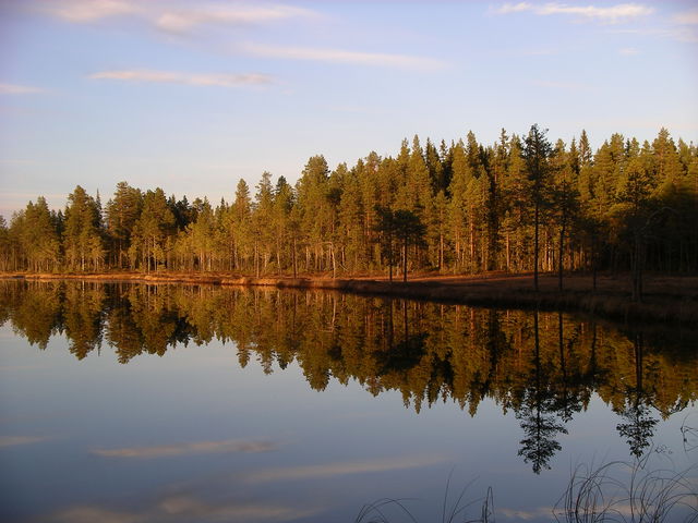 Björntjärnlokarna