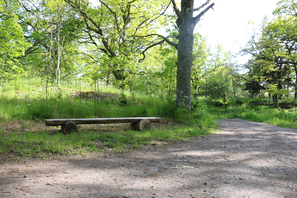 Intill en grusväg finns en bänk gjord av stockar placerad.