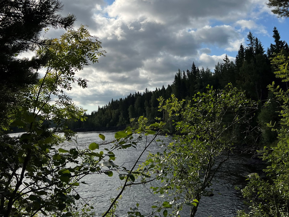 Flottarstigen 