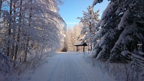 Foto: Birgit Kicki Molin