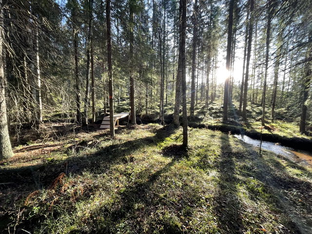 Rönnåsen – Åmot, Gästriketriangeln delsträcka 1