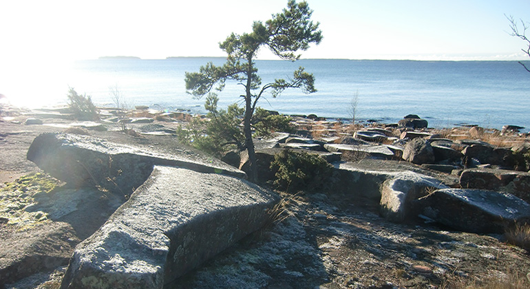 Kärrholmen, Naturreservat