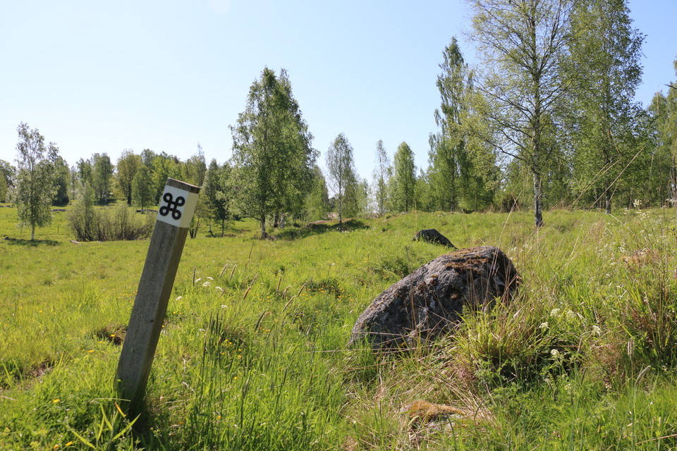 Vitmålad stolpe med vit ledmarkering med en svart kringa, som står i en betesmark.
