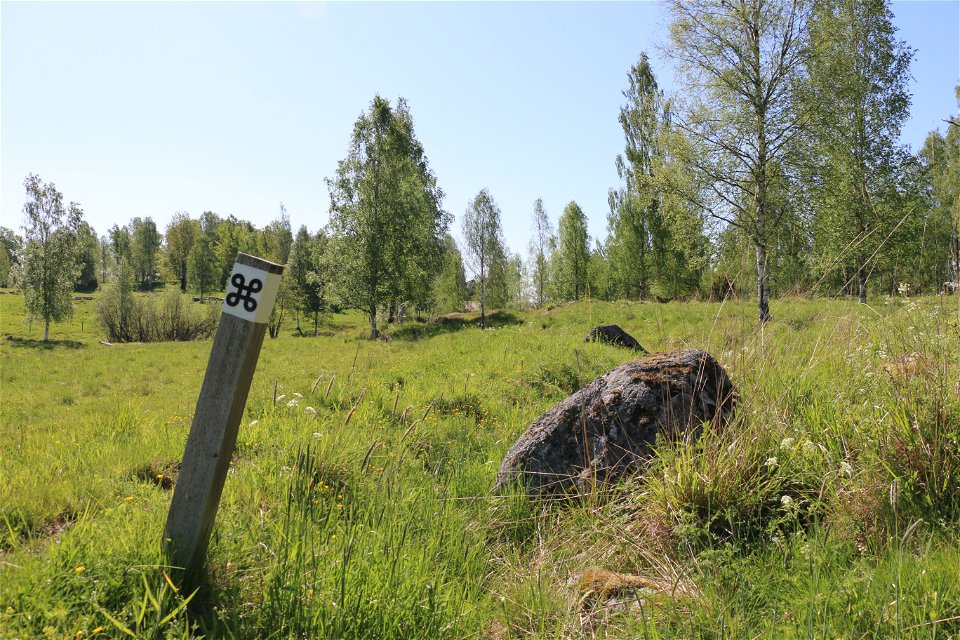 Vitmålad stolpe med vit ledmarkering med en svart kringa, som står i en betesmark.