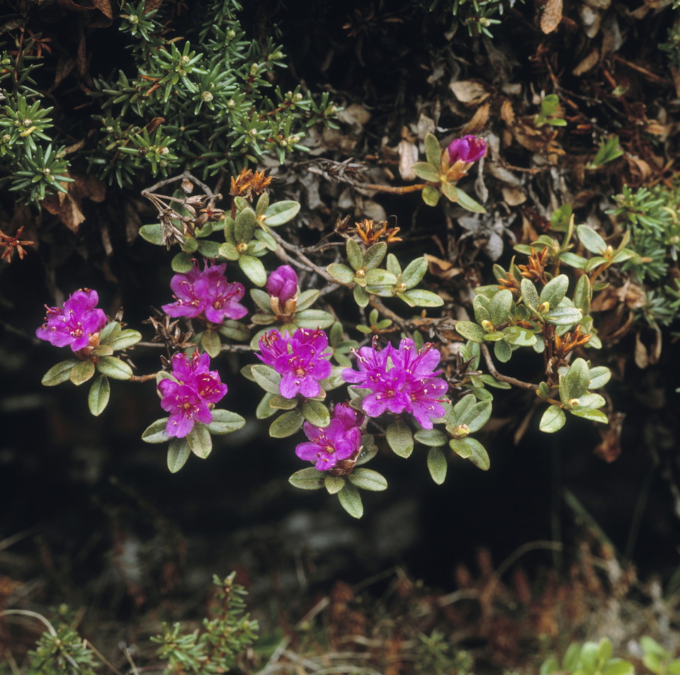 National parks and nature reserves