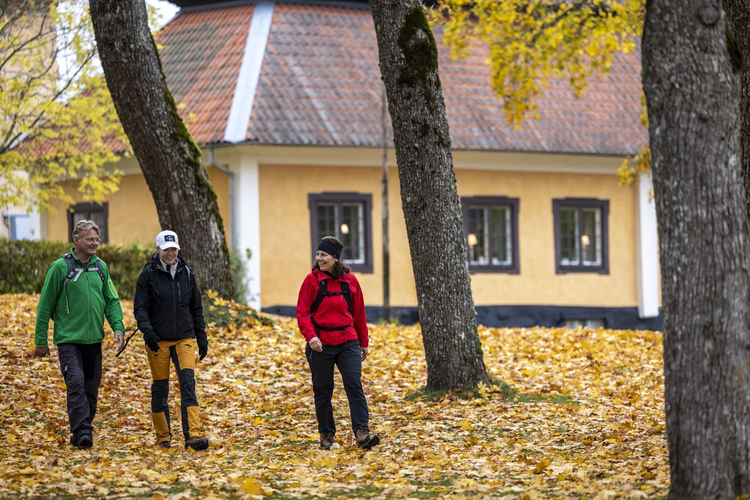 Österbybruks stigar - vandring i vallonbruksmiljö