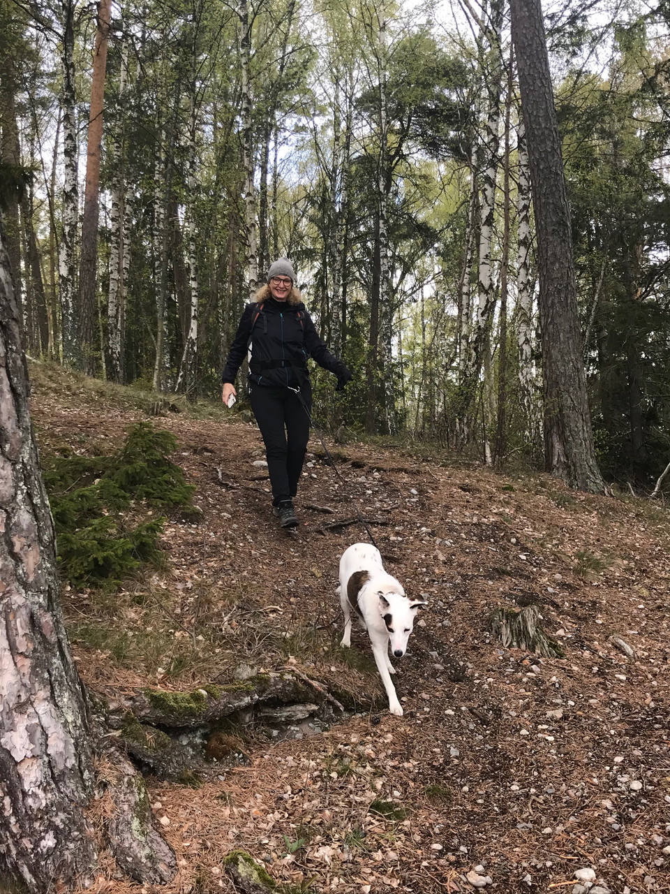 Kopplade hundar är välkomna i reservatet. 