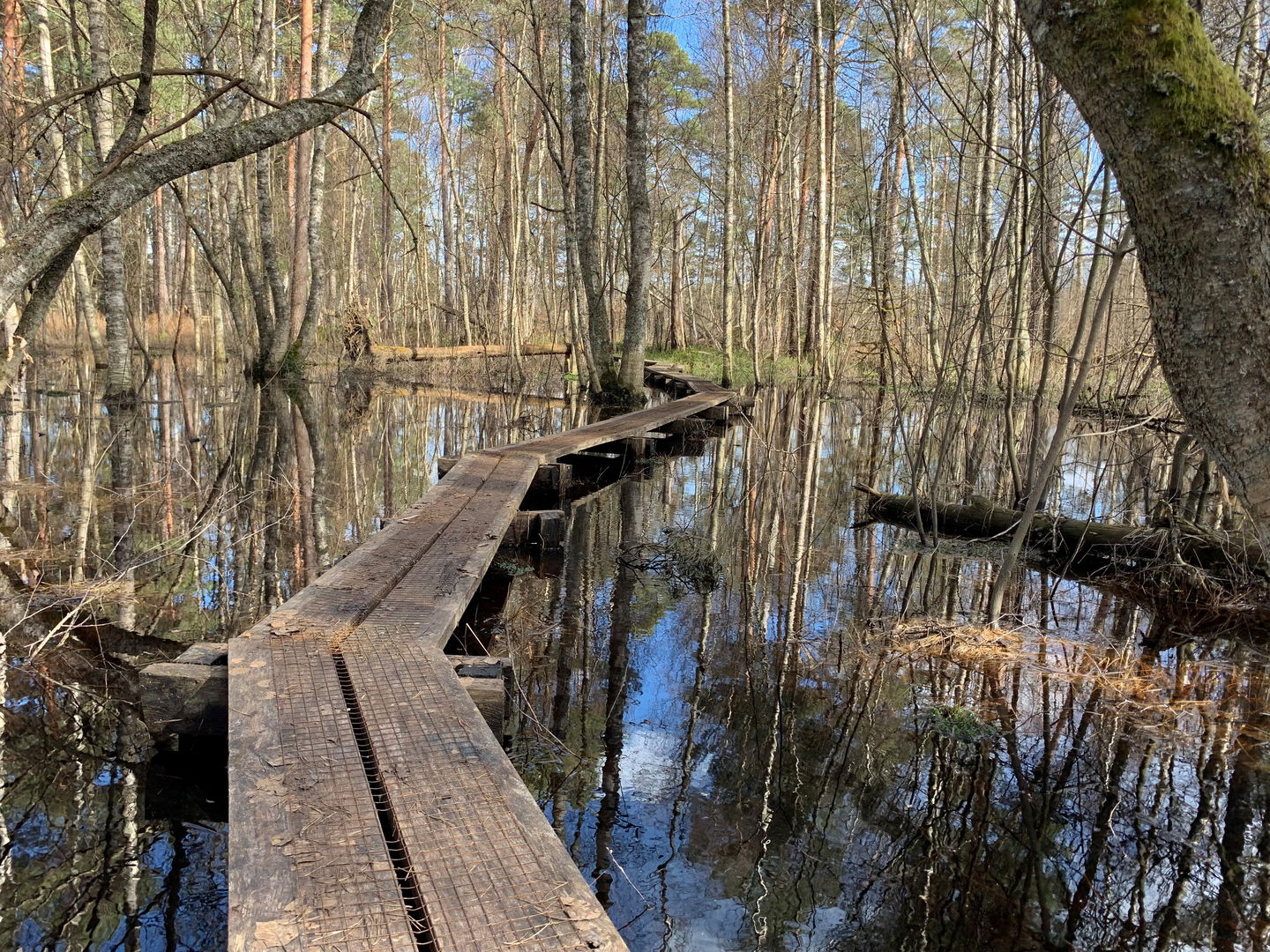 Tångarne naturreservat.