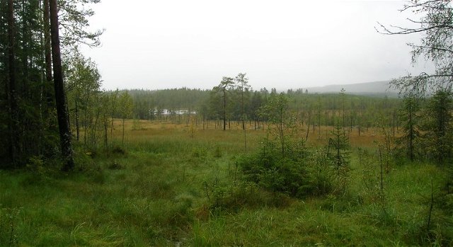 Horsstomyren-Storberget, Naturreservat