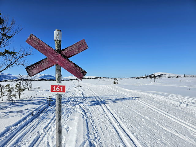 161 Platåleden (vinterled, Ottsjö)