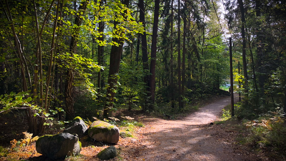 Elljusspår på Eriksö.