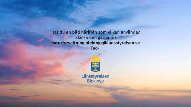 Informationsskylt, Ljungryda