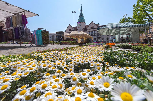 Torget