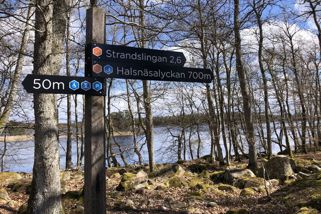 Strandslingan (Bjurkärr), Åsnens nationalpark