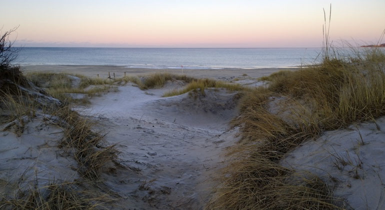 sanddyner