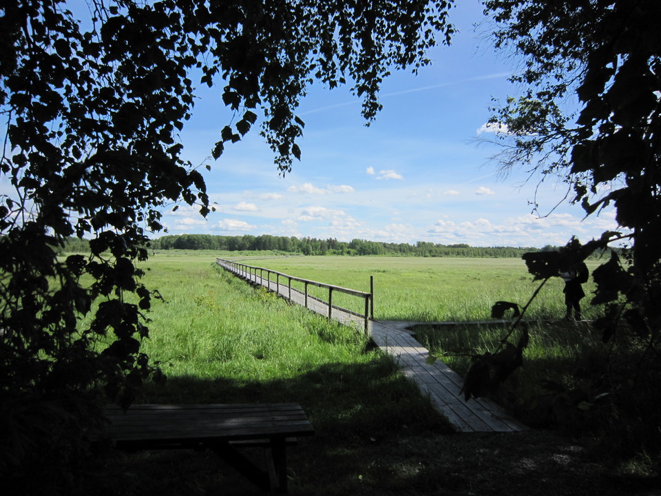 Utsikt från rastplats