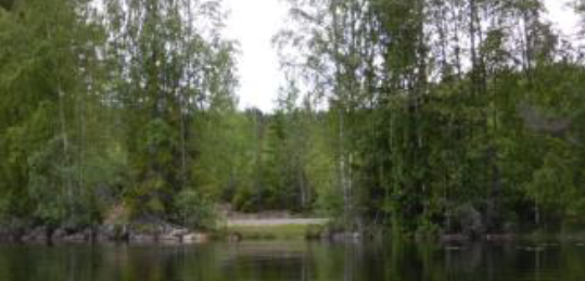 Robertsvik