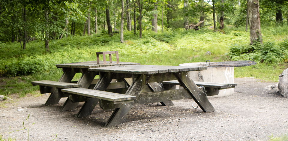 Bänkar, grillplats, skog