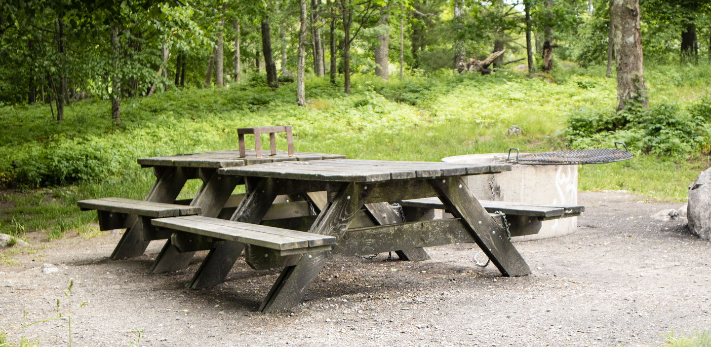 Bänkar, grillplats, skog