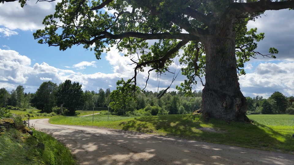 Värnamo Kommun