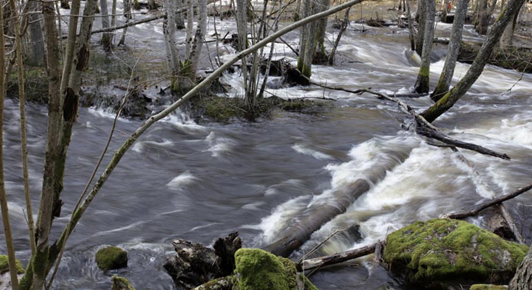 Järleån.