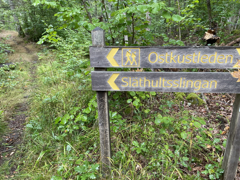 Ledhänvisningsskyltar