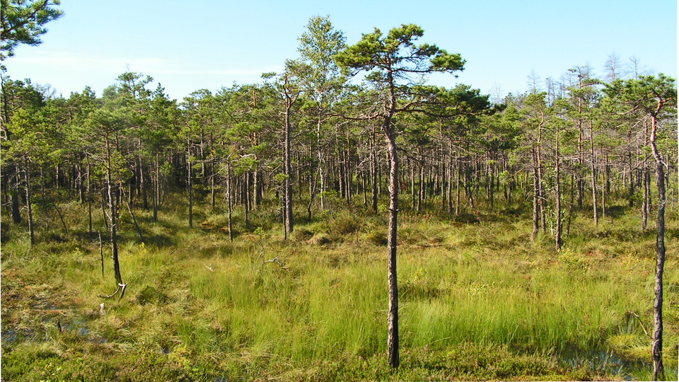AktLandskap