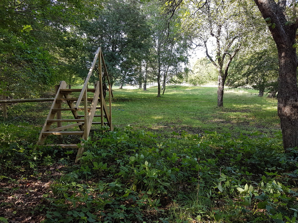 Gena över beteshagen eller fortsätt längs vattnet mot Rävviken. Foto Lidingö stad.