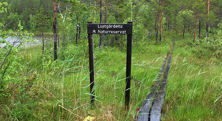 Vandringsstig rastplats Lill-Brännträsket, Lustgården