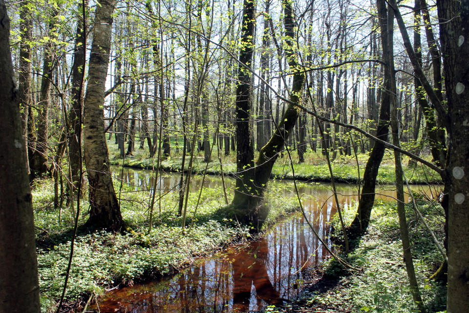 Mostphotos - User_71867