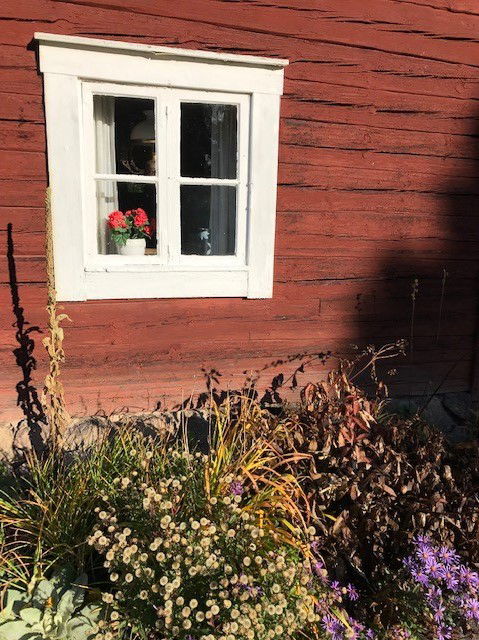 Närbild av fönster med rabatt nedanför, en av de faluröda byggnaderna på hembygdsområdet i Mjölby