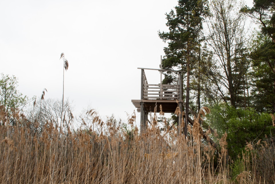 Fotograf: Tobias Ivarsson