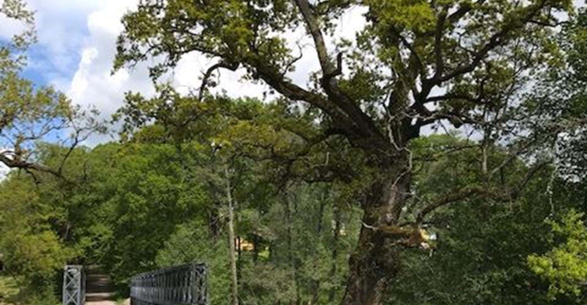 Bro Solberga gård