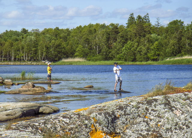 Torkö