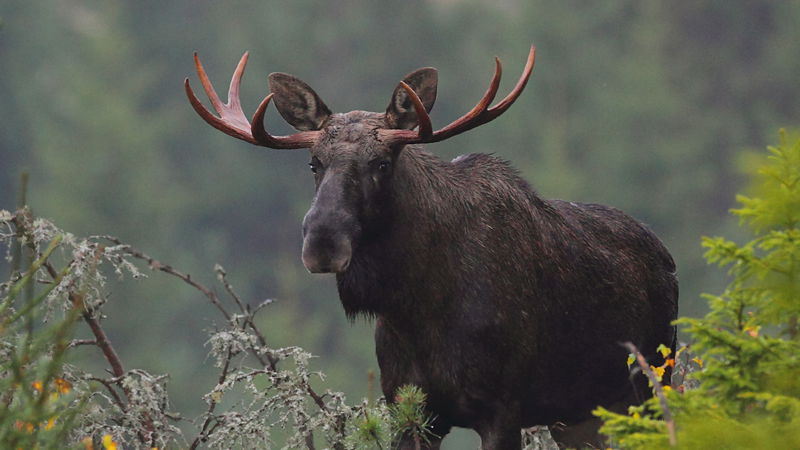 Experience Ecopark Halle-Hunneberg