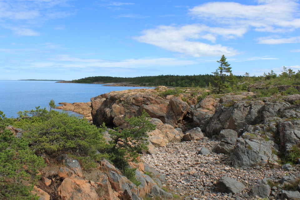 Klippor vid havet. I bakgrunden finns det skog längs klipporna.