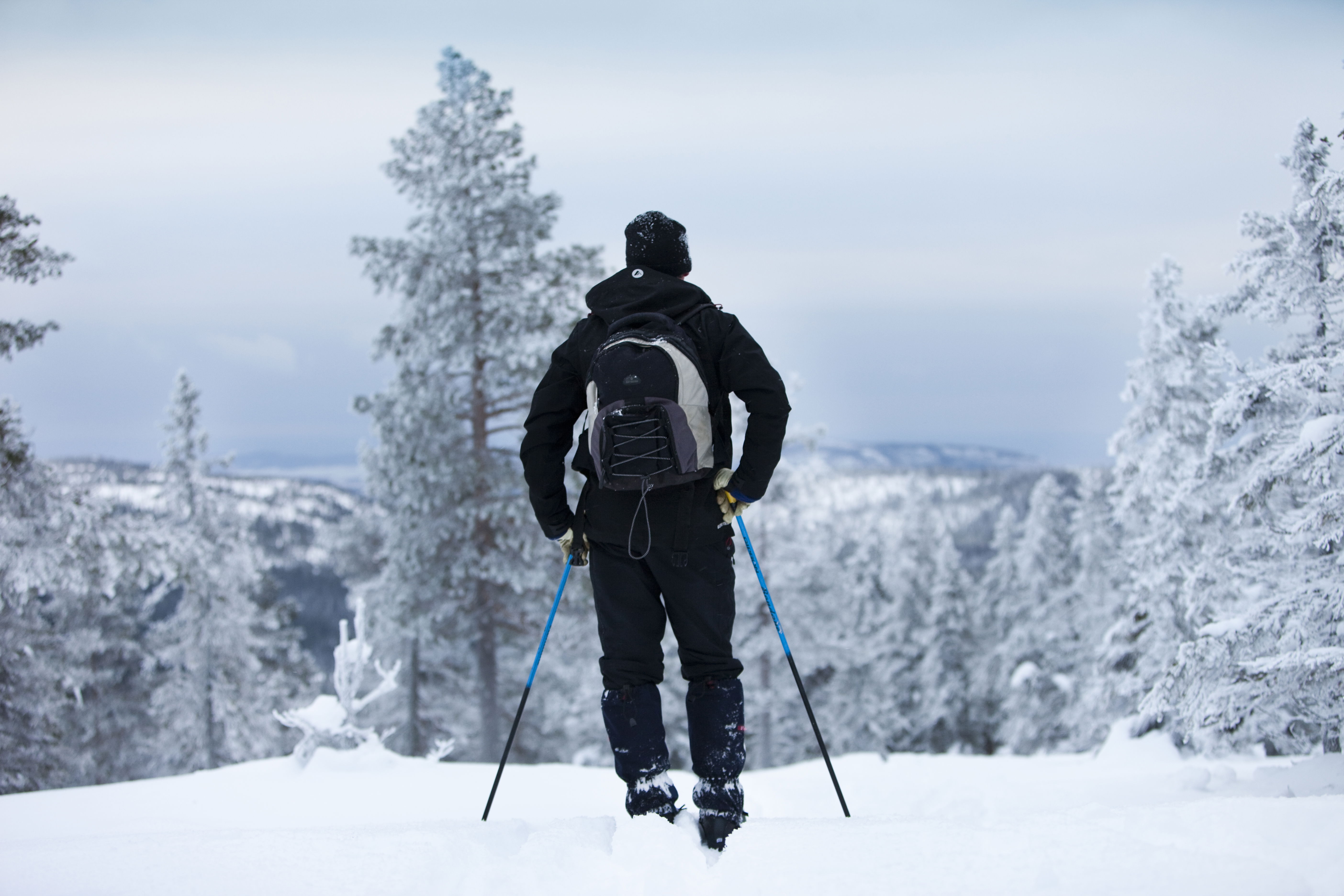 Skuleskogen är fint att besöka vintertid på snöskor eller skidor.