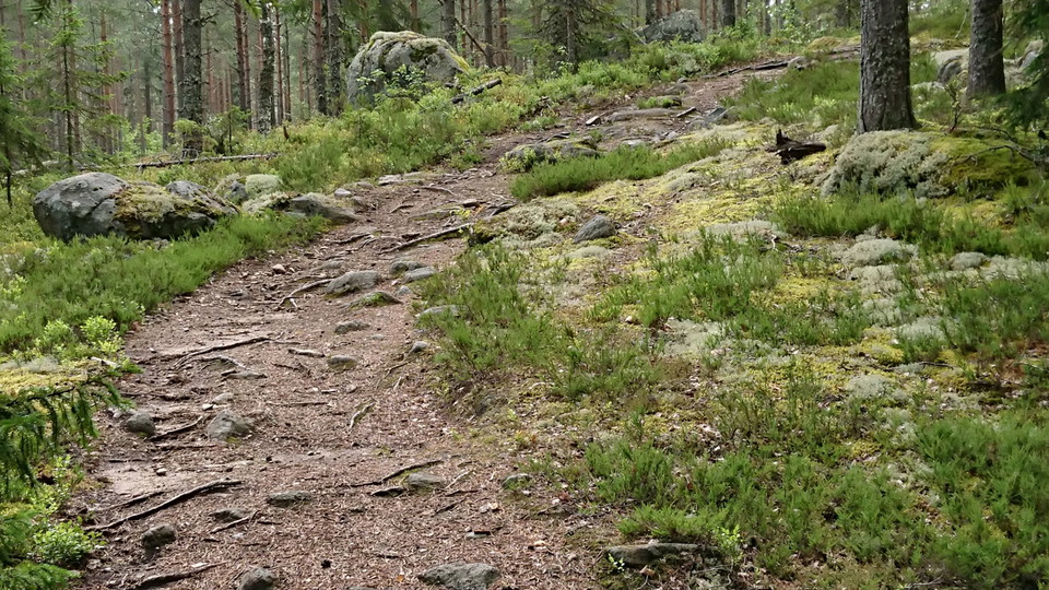 Upp mot Häståsen. Foto: Maria Hammarström 2021